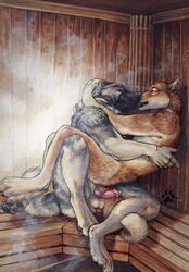 animal_genitalia animal_penis anthro ass balls blotch canine canine_penis claws closed_eyes cum cute duo embrace erection fur hindpaw husky kissing knot love male mammal nude open_mouth paws penis romantic_couple sauna sex smaller_version_at_source yaoi