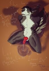 absurd_res animal_genitalia animal_penis anthro begging begging_to_cum bodily_fluids border_collie bra canid canine canine_genitalia canine_penis canis clothing collie deliscalie domestic_dog edging eye_roll genital_fluids genitals good_girl gynomorph herding_dog hi_res intersex knot knotted_penis leaking_precum looking_pleasured mammal orgasm_denial pastoral_dog penis precum shaking sheepdog sitting solo tail tail_motion tailwag text underwear
