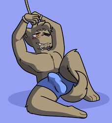 anthro balls blush bound bulge canine clothing digital_media_(artwork) drooling erection fur hair male male_only mammal muscular muscular_male penis rope rope_bondage saliva simple_background smile smirk solo soot_in_suit underwear