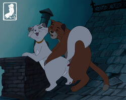 1boy 1girls canon_couple disney domestic_cat duchess_(the_aristocats) feral feral_on_feral furry penis see03 sex the_aristocats thomas_o'malley