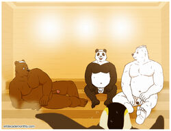 artdecade avian bear bird grizzly_(shirokuma_cafe) grizzly_bear humanoid_penis male male_only mammal panda panda-kun penguin penis polar_bear sauna shirokuma shirokuma_cafe