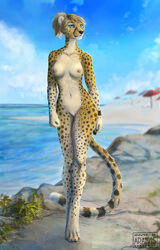 2018 4_toes 5_fingers anthro araivis-edelveys black_nose blonde_hair blue_eyes breasts cheetah day detailed_background digital_media_(artwork) digitigrade eyelashes eyewear feline female glasses hair mammal navel nipples nude outside pussy sky solo standing toes water whiskers