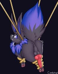 1boy akirajolteon alternate_color anus big_ass bondage bound candyfoxy canine collar eevee fur furry knot large_penis male male_only mammal nintendo original_character paws penis pokémon_(species) pokemon rope solo submissive testicles text video_games watermark wide_hips