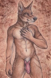 2018 5_fingers amber_eyes animal_genitalia animal_penis anthro balls bedroom_eyes black_nose canine canine_penis claws coyote ear_piercing fur half-closed_eyes knot looking_at_viewer male male_only mammal nude penis piercing ransom rukis scar seductive simple_background smile solo