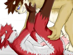 2011 4_fingers anal anal_sex anthro anthro_on_anthro anvil_position balls big_dom_small_sub black_nose blue_eyes blush brown_fur brown_hair canine circumcised closed_eyes duo ears_back erection fox fur fur_markings gloves_(marking) grin hair hand_on_chest humanoid_penis larger_male leg_grab legs_up log_(artist) looking_at_partner lying male male_penetrating mammal markings multicolored_fur nude on_back open_mouth penetration penis penis_size_difference precum red_fur sex signature simple_background size_difference smaller_male smile socks_(marking) tan_fur thick_penis two_tone_fur white_background white_fur yaoi