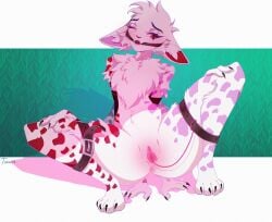 absurd_res anthro bondage bound cephalopod coleoid decapodiform domestic_cat felid feline felis female genitals hi_res male mammal marine mollusk multi_arm multi_limb nude paws pussy sex_toy solo squid tokkot vibrating vulva