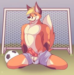 2016 animal_genitalia animal_penis anthro ball balls canine canine_penis clothed clothing digital_media_(artwork) ear_piercing erection fox kneeling knot looking_at_viewer male male_only mammal partially_clothed penis piercing pouncefox precum sheath smile soccer_ball soccer_net solo teeth tongue tongue_out