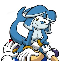 anthro cetacean cowgirl_position dolphin female first_person_view male mammal marine on_top sex sonic_(series) sonic_legacy sonic_the_hedgehog straight tempest_the_dolphin winningstick