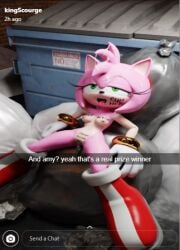 amy rose from snapchat by ssmerchant