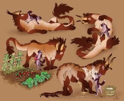 absurd_res anal animal_genitalia animal_penis anthro anthro_on_feral anus backsack balls biped bodily_fluids canid canine claws dipstick_tail duo equine_genitalia equine_penis feelferal felkin feral flared_penis food fox fruit fur genital_fluids genitals hi_res horn hybrid_genitalia hybrid_penis interspecies knot knotted_equine_penis knotted_penis male male/male mammal markings medial_ring oral peeing penis pepper_(fruit) plant quadruped rimming sex sheath tail tail_markings urine watersports zoophilia