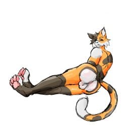 anthro anus ass balls calico_cat digital_media_(artwork) domestic_cat felid feline felis femboy fur genitals hi_res humanoid kaisitou14 looking_at_viewer male mammal nude paws rear_view simple_background smile solo tail