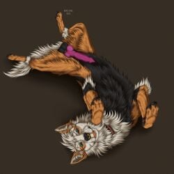 1:1 animal_genitalia animal_penis balls black_balls black_body black_fur black_pawpads blep blue_eyes brown_background canid canine canine_genitalia canine_penis cheek_tuft chest_tuft erection facial_piercing facial_tuft feral fur genitals hi_res inner_ear_fluff lying male male_feral mammal msdeadsoul neck_tuft nose_piercing nose_ring on_back orange_body orange_fur pawpads penis piercing purple_penis ring_piercing septum_piercing septum_ring simple_background solo tongue tongue_out tuft white_body white_fur white_inner_ear_fluff
