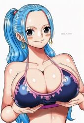 nefertari vivi from one piece by 23 ai illust