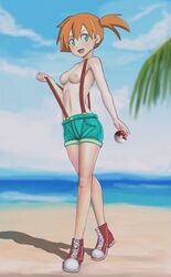 kasumi (pokemon) from nintendo by armad