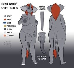 1futa animal_genitalia animal_penis anthro areola balls big_areola big_balls big_breasts blue_eyes breasts dickgirl digital_media_(artwork) elephant elephant_penis english_text flaccid futanari hair huge_breasts intersex inverted_nipples looking_at_viewer mammal model_sheet negativetheory nipples nude open_mouth penis red_hair slightly_chubby solo text trunk voluptuous wide_hips