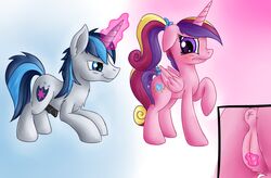 2017 alicorn animal_genitalia animal_penis animal_pussy anon_1515 anus ass black_penis blue_eyes blue_hair blush clitoral clitoris close-up cutie_mark duo equine equine_penis equine_pussy erection eyelashes feathered_wings feathers female feral floppy_ears friendship_is_magic glowing_horn gradient_background grope hair hair_ribbon hairbow hi_res hooves horn horsecock magic male mammal medial_ring molestation multicolored_hair my_little_pony nude penis pink_feathers ponytail princess_cadance_(mlp) puffy_anus purple_eyes pussy raised_leg ribbons scrunchy_face shining_armor_(mlp) side_view simple_background smile sparkles standing straight tail_bow tail_ribbon teeth two_tone_hair unicorn wings