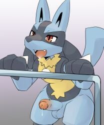 2026 3_fingers anthro balls biped black_body black_fur black_inner_ear black_markings blue_balls blue_body blue_fur blue_penis blue_tail bodily_fluids canid canine chest_spike cum cum_drip digital_drawing_(artwork) digital_media_(artwork) dripping drooling erection facial_markings fangs fingers foreskin fur gay gay_male generation_4_pokemon genital_fluids genitals glans glistening glistening_eyes gloves_(marking) gradient_background grey_background hand_spike head_markings hi_res homosexual homosexual_male humanoid_genitalia humanoid_penis leaning leaning_forward lucario male male/male male_anthro male_only male_penetrating mammal markings multicolored_body multicolored_fur multicolored_penis neck_tuft nintendo nude nude_anthro nude_male open_mouth partially_retracted_foreskin penis pink_glans pink_penis pointy_ears pokemon pokemon_(species) prick_ears pu_sukebe red_eyes saliva simple_background solo spikes spikes_(anatomy) tail teeth tongue tongue_out tuft two_tone_penis white_background yellow_body yellow_fur