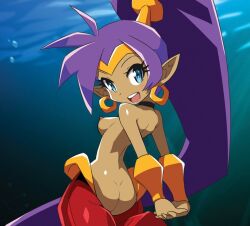 1girls dark-skinned_female female female_only looking_at_viewer partially_clothed seductive_pose shantae shantae:_half-genie_hero shantae_(character) small_ass small_breasts tagme topless topless_female zedrin