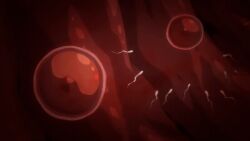 female animated animated_gif cross-section fertilization impregnation ovum saimin_seishidou sperm_cell tagme sperm 2020 20s bunnywalker t-rex_(animation_studio)