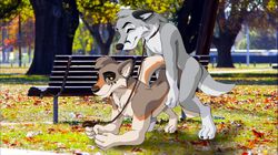 anthro bank canine chaine_redfield closed_eyes cute domination duo exhibitionism from_behind_position happy kemonowolf love male male_penetrating mammal nude outside park public royal-pain-in-the-ass sex together tree walking yaoi