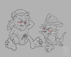Sonic (Series) Rule 34 Image
