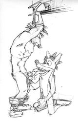 2boys anthro bandicoot bara boots crash_(series) crash_bandicoot crash_bandicoot_(series) crunch_bandicoot cum erect erect_penis erection fur furry furry_only gay handjob k-9 k-9_(artist) licking_penis male male_only mammal marsupial military_pants monochrome multiple_males no_humans nude pants pants_down robotic_arm shoes sketch sneakers yaoi