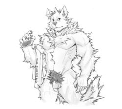 2018 absurd_res anthro biceps canine chest_tuft digital_media_(artwork) fur hi_res kemono male male_only mammal muscular muscular_male pecs penis sketch tuft tupidwithouts wolf