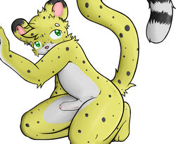 2011 anthro black_fur cheetah dipstick_ears erection feline foreskin fur fur_markings green_eyes head_tuft humanoid_penis kneeling log_(artist) looking_aside male male_only mammal markings multicolored_fur nude partially_retracted_foreskin penis pink_nose salmy signature simple_background solo spots uncut white_background white_fur yellow_fur