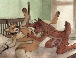 2boys anal animal_genitalia animal_penis anthro balls barbed_penis bed_bondage bobcat bondage bound bound_to_bed canine collar dripping_precum feline feline_penis fox furry furry_only gay legs_up male male_only mammal nude oral penis rimming sex sicklyhypnos yaoi