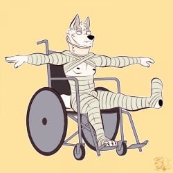 absurd_res adastra adastra_(series) bandage cassius_(adastra) cone_of_shame echo_project fur hi_res injuries male medical_instrument nipples pawpads scientific_instrument solo t-pose vehicle ventkazemaru wheelchair white_body white_fur