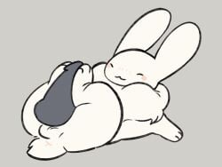 animated animated anus ass asshole balls ballsack blush blush bunny bunny_tail feral footjob gubby gubby_(roblox) loop looping_animation male/male pawjob roblox roblox_game