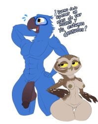 absurd_res anthro athene_(genus) avian balls beak betta_the_burrowing_owl_(blu_waifu) big_balls big_penis bird blu_(rio) blue_body blue_sky_studios breasts burrowing_owl curvy_figure duo embarrassed fan_character feathers female genitals hi_res imminent_sex looking_at_another macaw male muscular muscular_male neotropical_parrot nipples orange_eyes owl parrot penis pussy rio_(series) saggy_balls seductive short_stack size_difference smaller_female spanish_text spix's_macaw tail tail_feathers text thelordjoshua1 thick_thighs true_owl true_parrot yellow_eyes