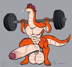 abs anthro balls big_balls big_penis blush crouching erection exercise foreskin genitals hair hi_res huge_balls huge_cock hyper hyper_balls hyper_genitalia hyper_penis male muscular muscular_male nude penis reptile scales scalie snake solo vein veiny_penis weightlifting weights workout