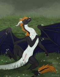 anus black_body black_pawpads black_scales claws dragon female feral fur genitals grass hi_res horn mane membrane_(anatomy) misskarma mythological_creature mythological_scalie mythology orange_body orange_fur orange_mane pawpads pink_anus pink_pussy plant purple_membrane pussy scales scalie solo white_body white_claws white_horn white_scales