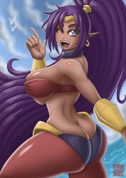 big_ass big_breasts blue_eyes blue_sky curvy curvy_body curvy_female curvy_figure dark_skin dark_skinned_female day daytime digital_drawing_(artwork) digital_media_(artwork) earrings female genie genie_girl hourglass_figure one_eye_closed pointy_ears ponytail purple purple_hair shantae shantae:_half-genie_hero shantae_(character) takilmar wayforward wink winking_at_viewer
