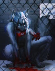 amenimhet anthro blood bodily_fluids bowl cage canid canine canis cannibalism container ear_piercing fur gore grey_body grey_fur hair hard_vore hi_res long_hair male mammal multicolored_hair nude pet_bowl piercing severed_arm severed_body_part severed_limb shine_(denungaulven) sign snarling solo stretched_ears two_tone_hair vore wolf