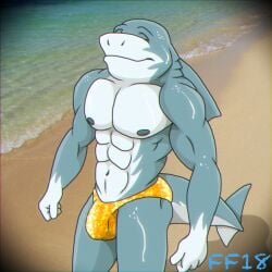 2018 abs anthro balls_outline beach biped bulge closed_eyes closed_smile clothed clothing detailed_bulge digital_media_(artwork) dorsal_fin fabfelipe fin fish genital_outline gills gloves_(marking) grey_body grey_nipples grey_scales hi_res male marine markings mouth_closed muscular muscular_anthro muscular_male navel nipples penis_outline sand scale_markings scales shark smile solo speedo speedo_only standing swimwear tail topless topless_anthro topless_male water wet white_body white_scales yellow_clothing yellow_speedo yellow_swimwear