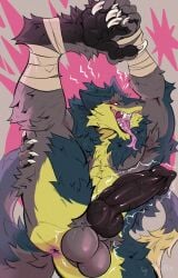 abs animal_genitalia animal_penis anthro anus arm_wraps balls big_balls big_penis brom_(sahurus) claws erection fangs fur genitals green_body green_fur grey_body grey_fur hi_res honeypie~ knot knotted_penis leg_wraps male muscular muscular_male narrowed_eyes open_mouth paws pecs penis raised_leg red_eyes sergal smile smirk solo stretching tail tail_tuft teeth tongue tongue_out tuft wraps yellow_body yellow_fur