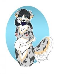 5_fingers anthro australian_shepherd belly big_belly big_breasts black_hair black_nose breasts canid canine canis condom condom_in_mouth domestic_dog female fingers fur genitals grey_body grey_fur hair herding_dog hi_res humanoid_hands mammal mouth_hold multicolored_body multicolored_fur navel nipples nude nude_anthro nude_female object_in_mouth outie_navel pastoral_dog pregnant pregnant_anthro pregnant_female rhari sexual_barrier_device sheepdog solo tail tocatta_bianchi two_tone_body two_tone_fur unused_condom vulva white_body white_fur wrapped_condom