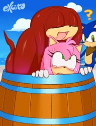 1girls 2boys ambiguous_penetration amy_rose amy_rose_(boom) anthro bandana barrel beach blush closed_eyes echidna excito female hedgehog implied_sex knuckles_the_echidna male mammal monotreme mostly_nude nude oblivious penetration seaside sex size_difference sonic_(series) sonic_boom sonic_the_hedgehog stealth_sex straight wide_eyed