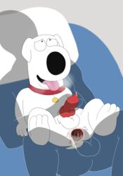 2018 anal anal_sex animal_genitalia animal_penis anthro anus balls bed big_dom_small_sub brian_griffin canine canine_penis collar cum cum_in_ass cum_inside family_guy fur handjob human human_on_anthro interspecies looking_pleasured magzol male male_only mammal orgasm penetration penis precum sex size_difference tongue tongue_out white_fur yaoi