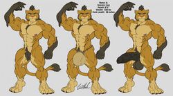 anthro balls big_balls big_penis bulge clothing feline flexing huge_cock humanoid_penis lion looking_at_viewer male mammal model_sheet muscular muscular_male mutton_chops off/on pecs penis pubes solo standing uncut underwear vein veiny_penis zeusralo