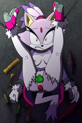 blaze the cat from sega by mesorocks