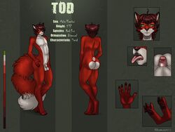 2017 anthro big_tail canine eliana-asato fox fur girly green_eyes male mammal model_sheet penis red_fur small_penis