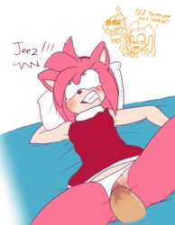 amy rose from sonic (series) by tyhat