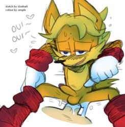 anal antoine_d'coolette balls cum cum_in_ass gay penis skinbark sonic_(series) sonic_the_hedgehog_(archie) sonic_the_hedgehog_(comics)