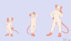 balls biscuit_(character) eyewear flaccid fur glasses hands_on_hip humanoid_penis iztli male mammal model_sheet nude penis rat red_eyes rodent simple_background solo standing teenager white_fur young