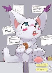 1girls ahe_gao animal_genitalia blue_eyes blush bound chatbox digimon dildo ear_tuft feline female fur gatomon internet looking_pleasured mammal pawpads penetration pussy scar sex_toy solo spiral_eyes tongue tongue_out tuft vaginal_penetration whiskers white_fur ーリミッター