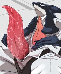 29ºc animal_genitalia animal_penis anthro belt big_penis black_skin cetacean cetacean_penis clothed clothing erection gang_orca huge_cock male male_only mammal marine my_hero_academia necktie open_pants orca penis penis_through_fly poking_out precum sakamata_kuugo solo tapering_penis vein whale white_skin