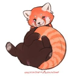 2018 black_nose blush electrikestorm eyelashes female feral fur hi_res mammal multicolored_fur one_eye_closed pawpads paws pussy red_panda simple_background solo spread_legs spreading white_background wink